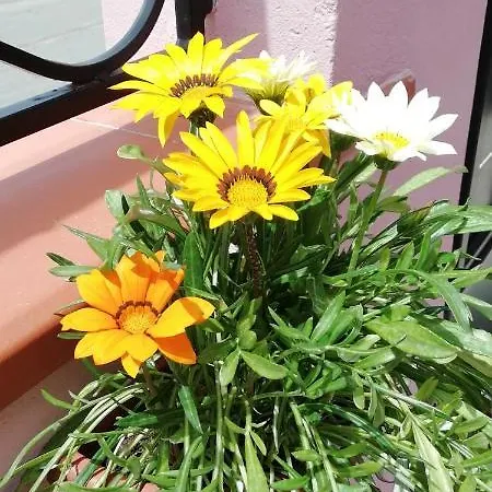 Apartament Prendas Antigas - Vacanze A Teulada